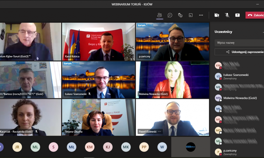 Screen z wirtualnego spotkania