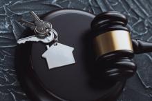 Wizualizacja przetargu