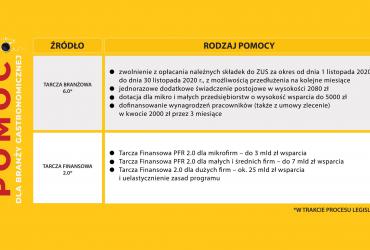 Grafika przedstawia założenia Tarczy Antykryzysowej